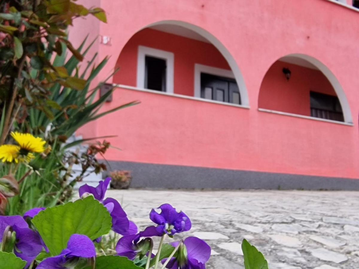 Apartman Sandro Motovun Εξωτερικό φωτογραφία